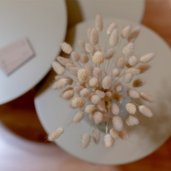 Omicron Acupuncture Iatreio_15